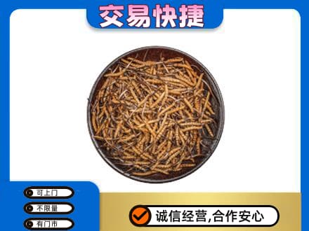 广州高价回收散虫草